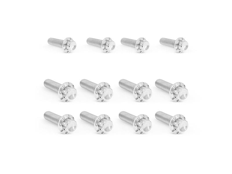 Titanium 12-Point Transmission Side Cover Bolt Kit - Polished. Fits Touring 2017up with Cable Clutch & Softail 2018up High-quality brushed aluminium motorcycle bolts for Revelry Motorcycles.