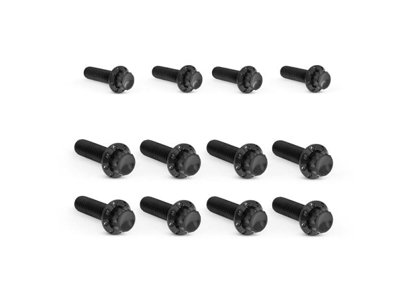 Titanium 12-Point Transmission Side Cover Bolt Kit - Black. Fits Touring 2017up with Cable Clutch & Softail 2018up Black motorcycle engine bolts set for revelry motorcycles, durable and high-quality hardware.